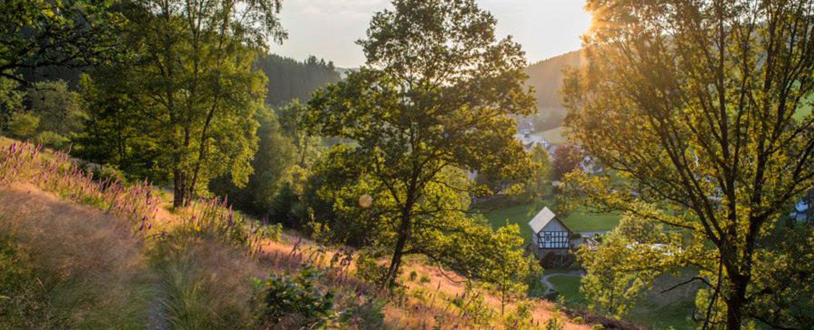 Wandern mit Hund am Rothaarsteig Hotel & Gasthof Hubertushöhe Latrop