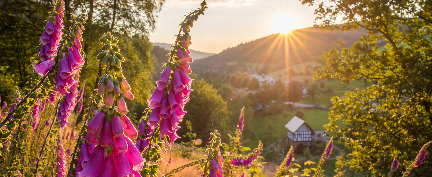 Urlaub im Sauerland Hotel & Gasthof Hubertushöhe Latrop