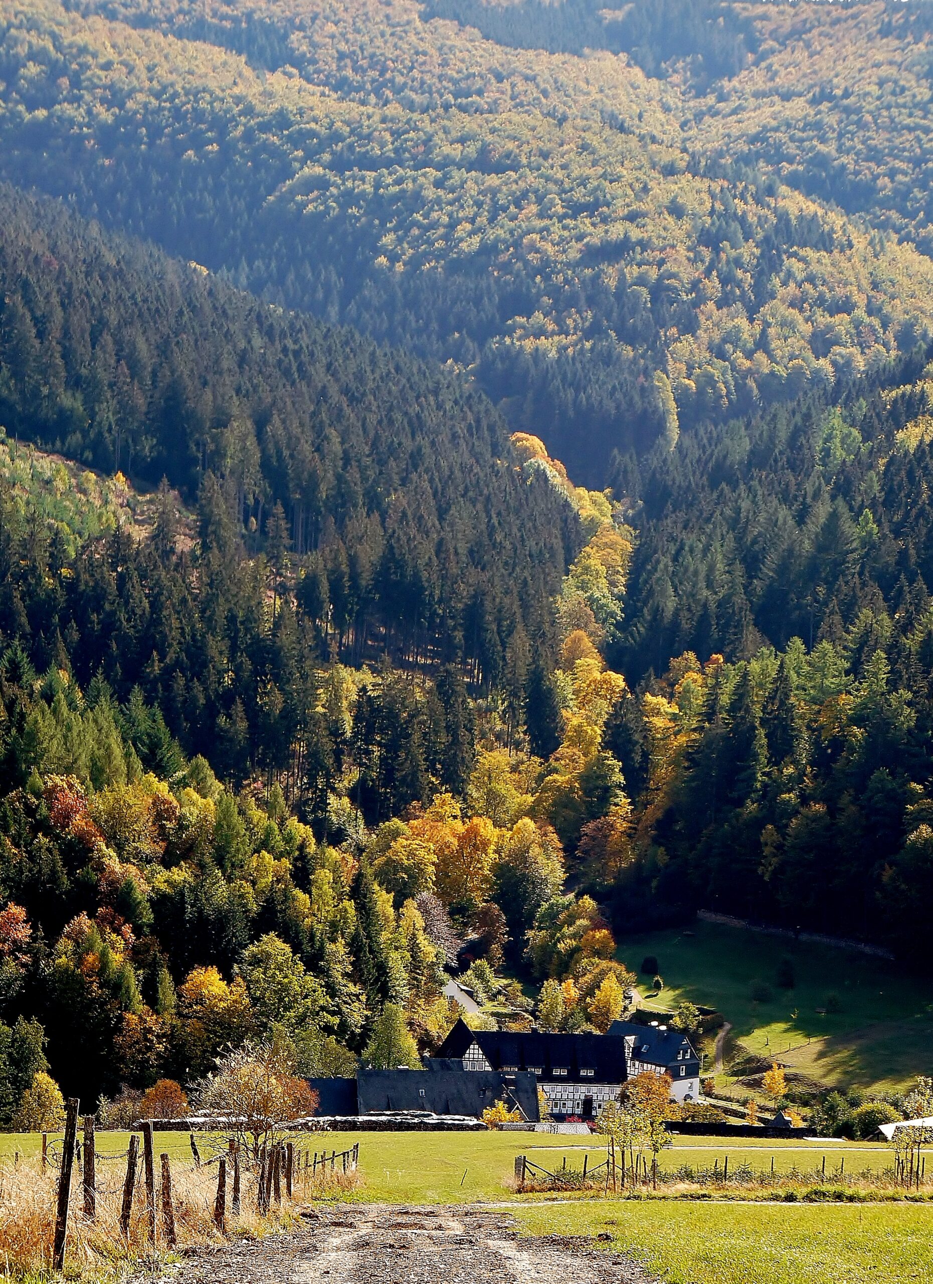 Blick ins Tal mit Fachwerkhäusern, Wiesen und buntem Mischwald im Sauerland