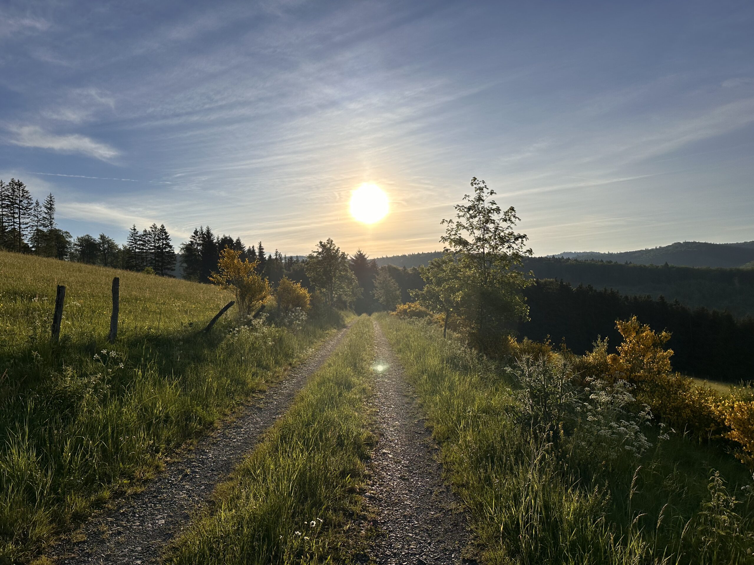 Sonnenuntergang über Feldweg mit Wiesen, Bäumen und weitem Blick in die hügelige Landschaft
