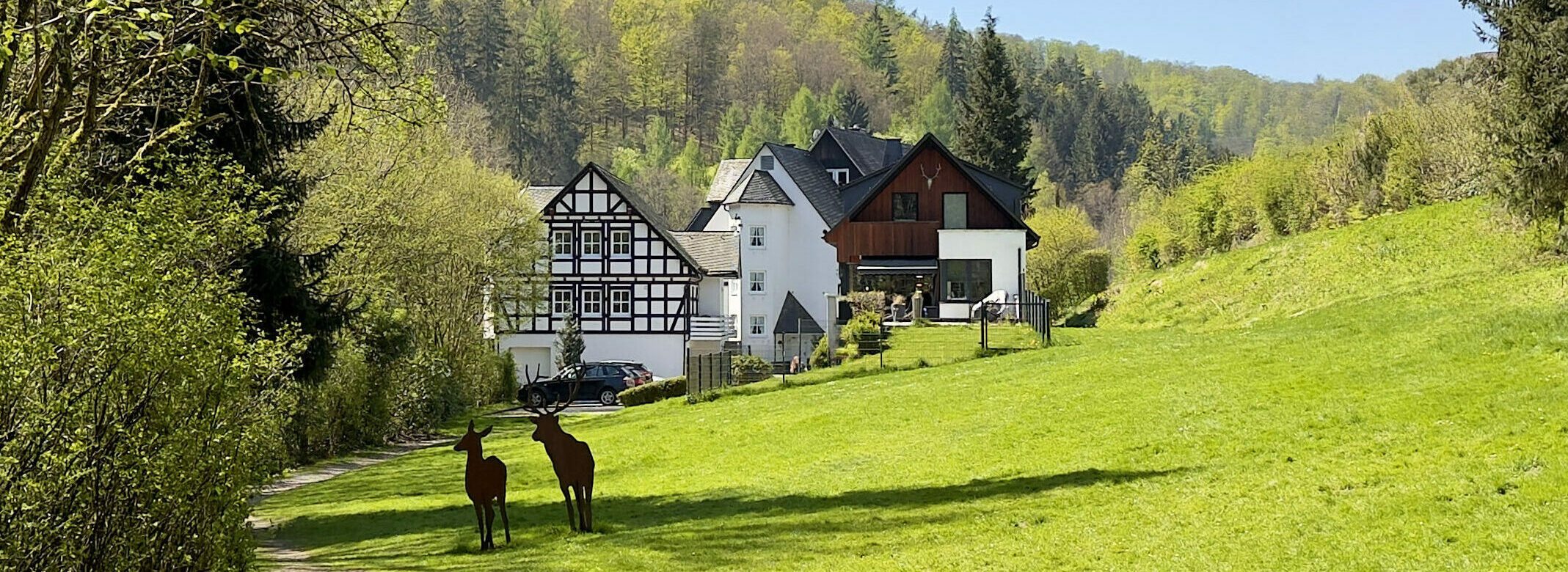 IMG_1748 Hotel & Gasthof Hubertushöhe Latrop
